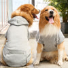 A golden retriever wearing a gray reversible plaid winter pet jacket sitting outdoors.