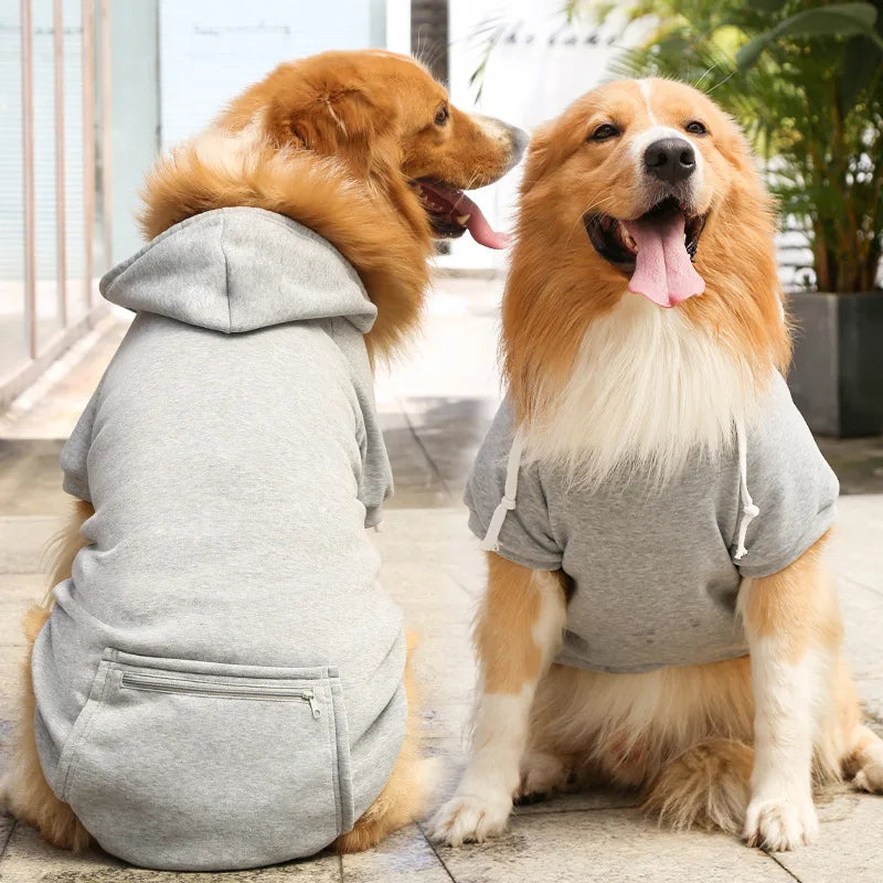 A golden retriever wearing a gray reversible plaid winter pet jacket sitting outdoors.