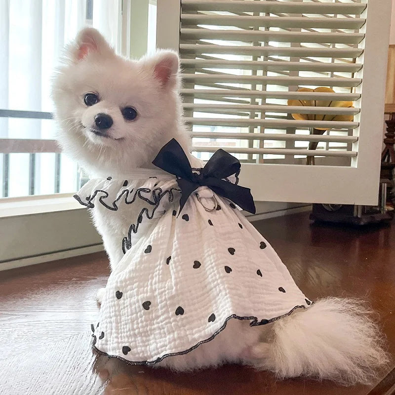 A fluffy white dog wearing a lightweight cotton dress with a black heart print and bow.