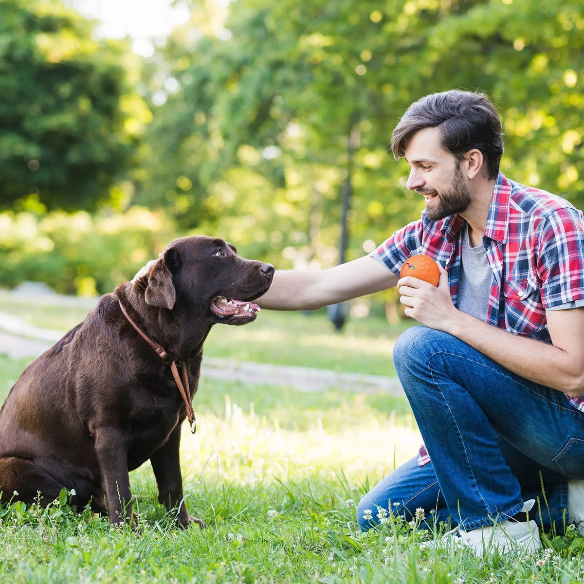 Ein Mann streichelt sanft einen braunen Hund in einem grasbewachsenen Park.