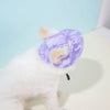 Perro blanco y esponjoso con sombrero de sol morado y borde de pelaje claro sobre fondo azul claro.