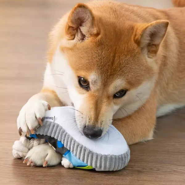 A light brown dog is gently chewing a white squeaky slipper toy with a blue rope.