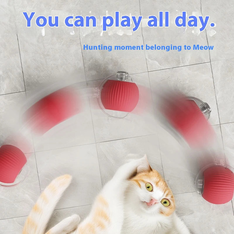 An orange and white cat plays with a pink interactive toy ball that emits motion toow