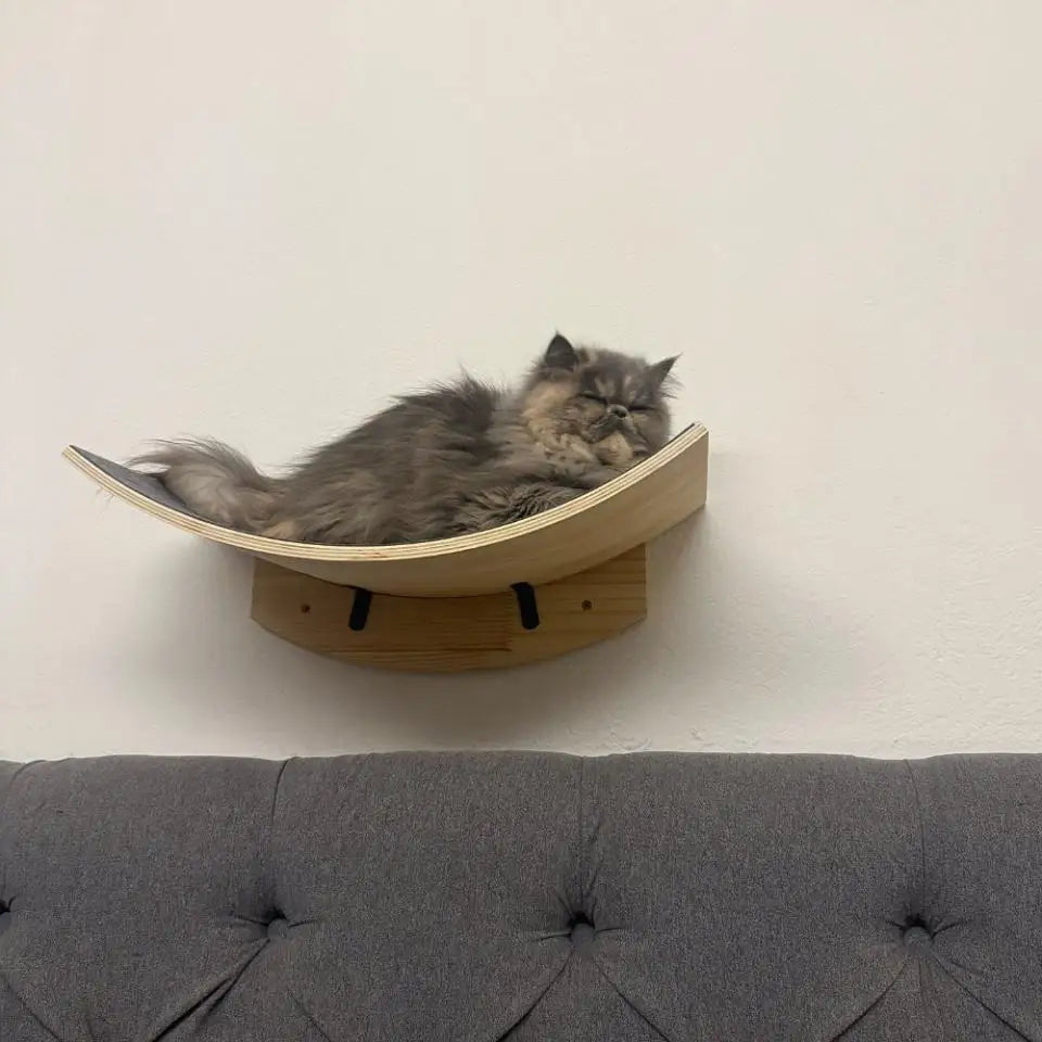 A fluffy gray cat is resting inside a wooden modular wall shelf designed with a bridge and hammock.