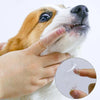 A hand gently cleans a dog's muzzle with a silicone finger toothbrush for dental care.