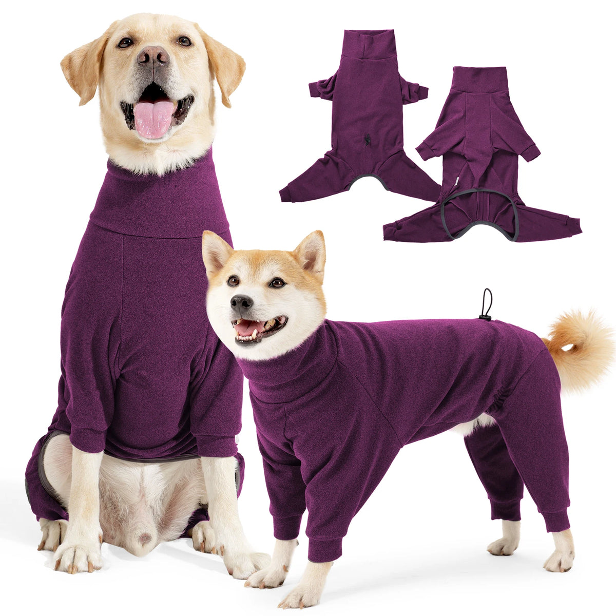 A tan dog wearing a purple windproof fleece jumpsuit, next to a light-colored dog and several folded purple jumpsuits.