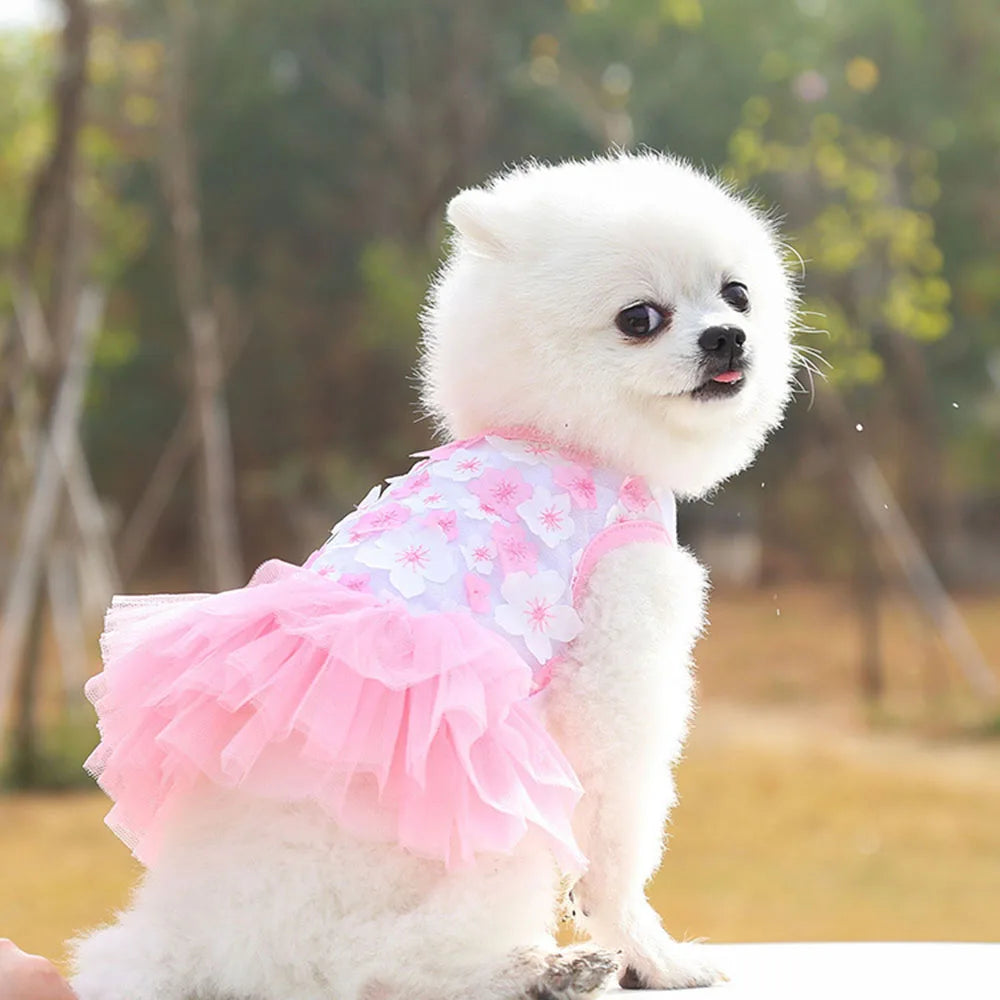 Un perro blanco vistiendo un vestido de encaje de gasa rosa con volantes, sentado al aire libre.