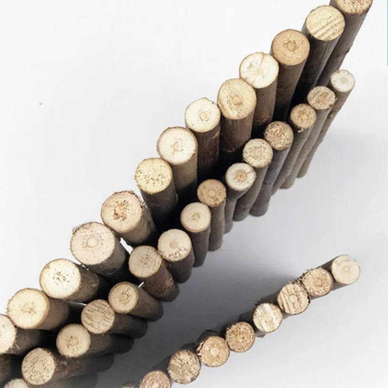 A close-up of natural wood branch chew toys arranged in a diagonal line.