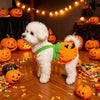 Un perro blanco peludo con disfraz de calabaza naranja parado sobre un suelo de madera rodeado de pequeñas calabazas.
