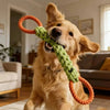 A golden retriever holds an orange and green rope toy in its mouth.