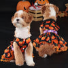 A small, light-colored dog wearing an orange pumpkin lace dress costume in a Halloween theme.