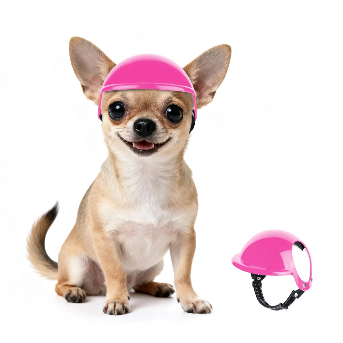 A small dog wearing a bright pink pet safety helmet and goggles.