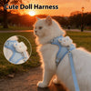 A fluffy white cat wearing a light blue dog harness and leash, standing outdoors at sunset.