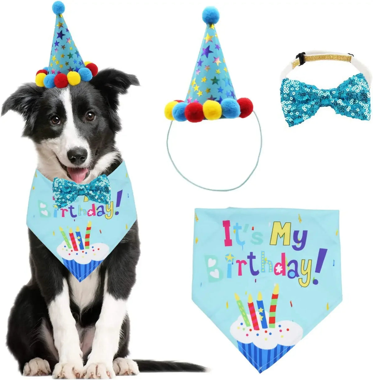 A black and white dog wearing a birthday party outfit with a cone and a blue bow tie.