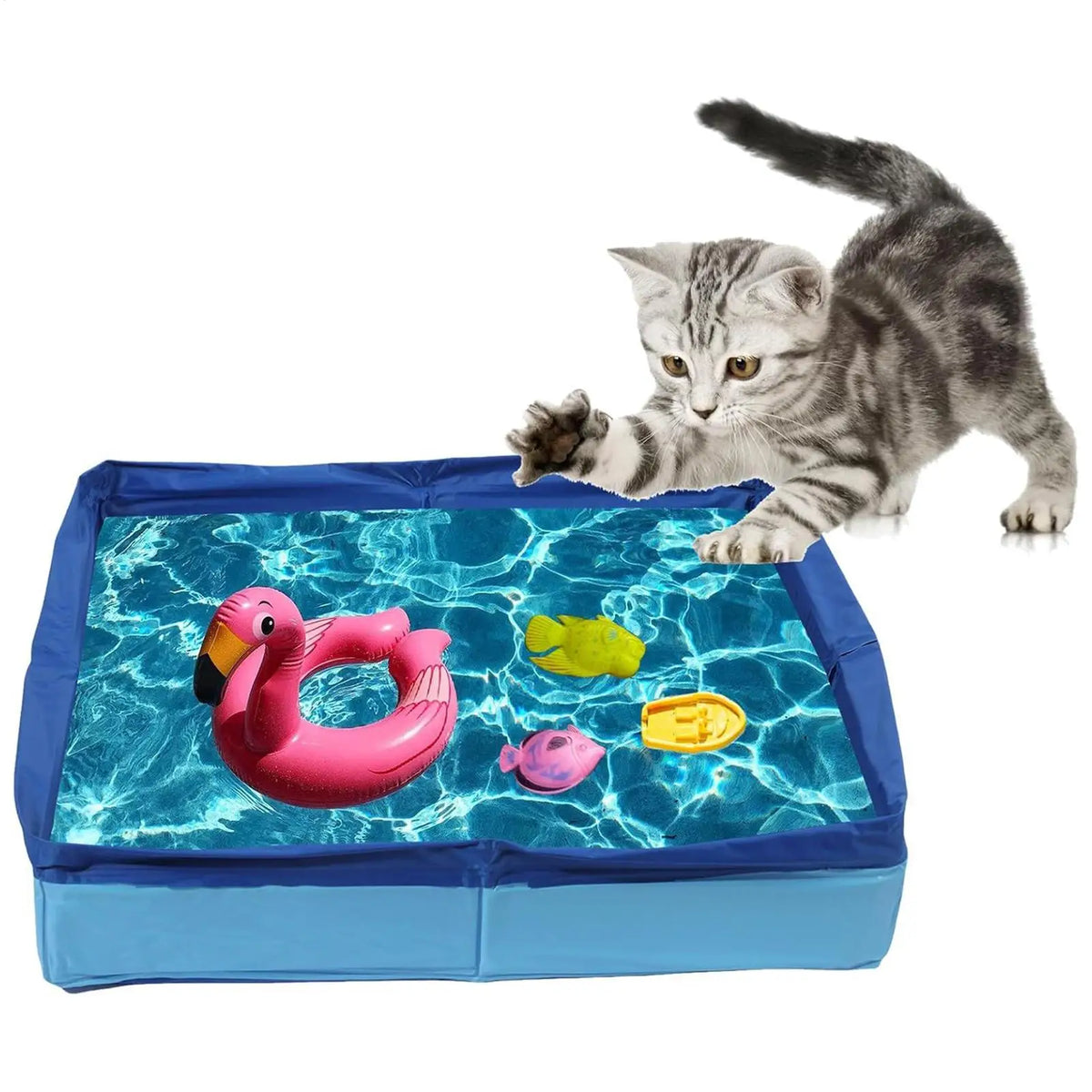 A tabby kitten is playing in a blue foldable pet wading pool filled with water and a pink rubber duck.