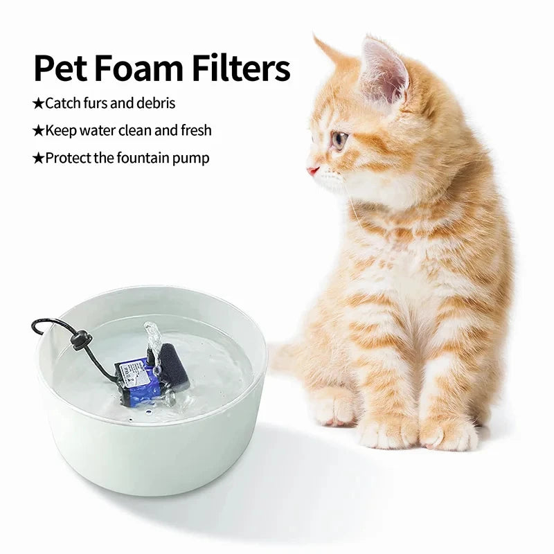 A fluffy orange kitten sits next to a white bowl containing water and pet foam filters for a fountain.