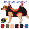 A dog wearing a black hammock pet nail trimming restraint for cats, shown with various color options.