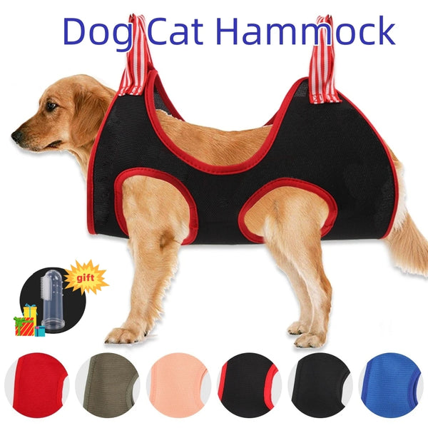 A dog wearing a black hammock pet nail trimming restraint for cats, shown with various color options.
