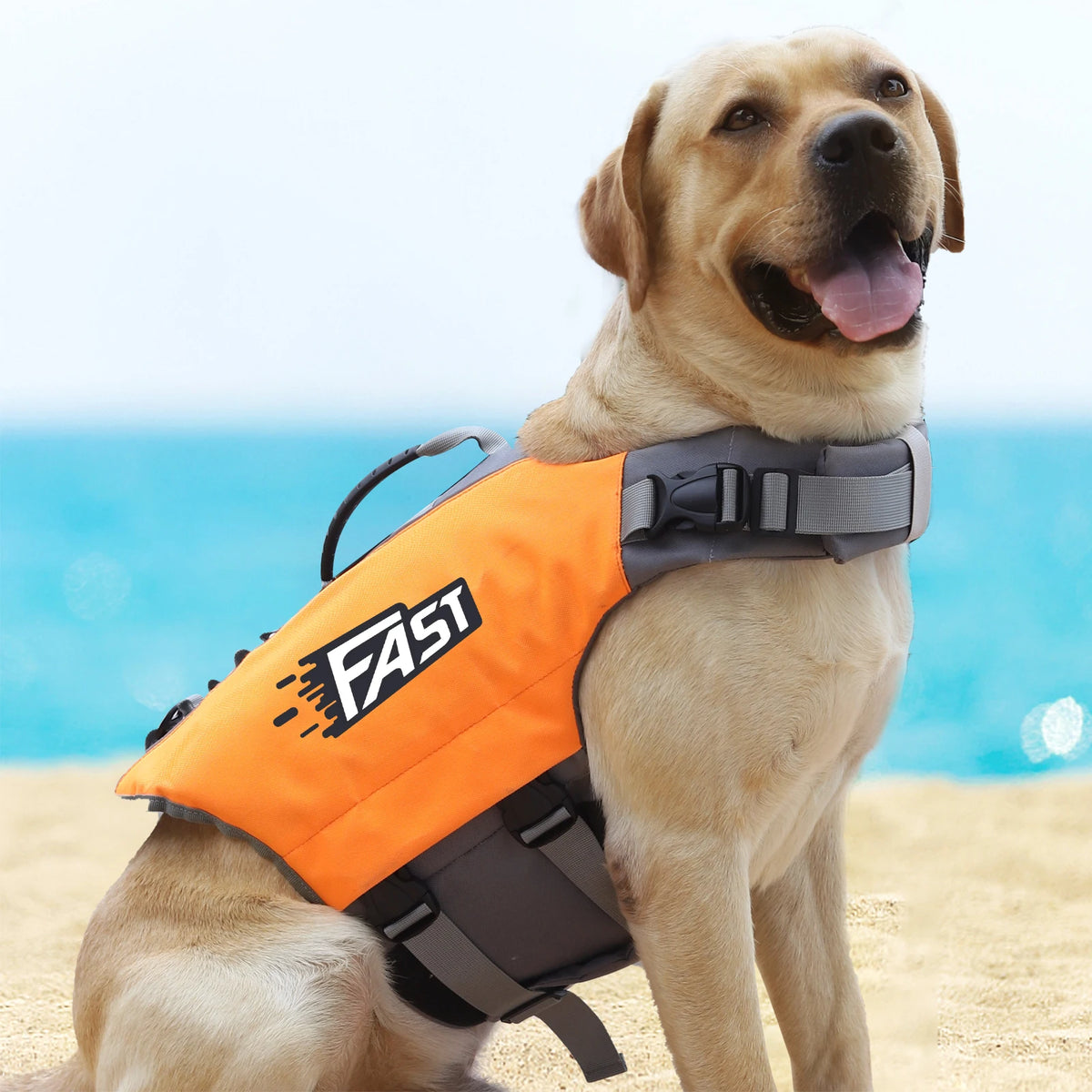 A golden retriever wearing an orange high visibility dog life jacket on a sandy beach with blue water in the background.