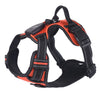 An orange and black LED dog harness with reflective strips is shown against a white background.
