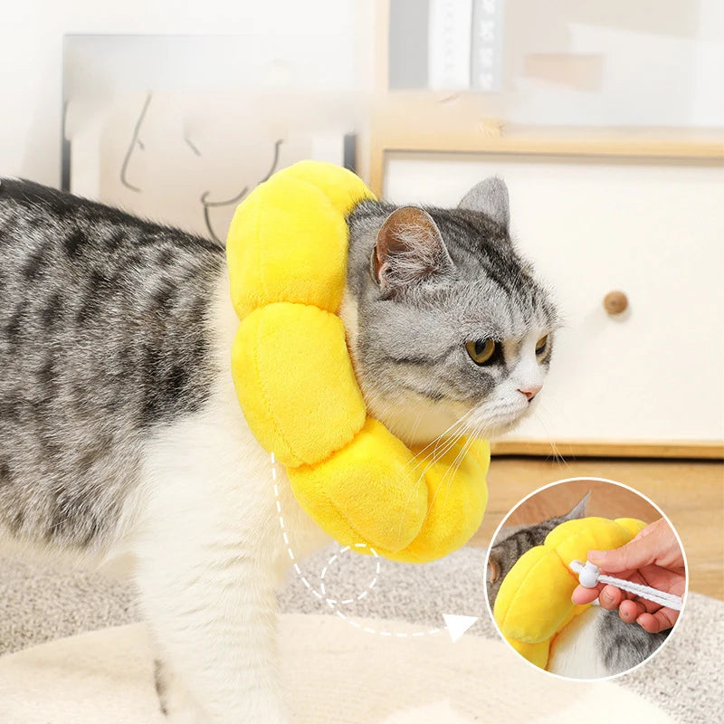 A gray and white cat wearing a yellow soft plush Elizabethan collar for wound care.