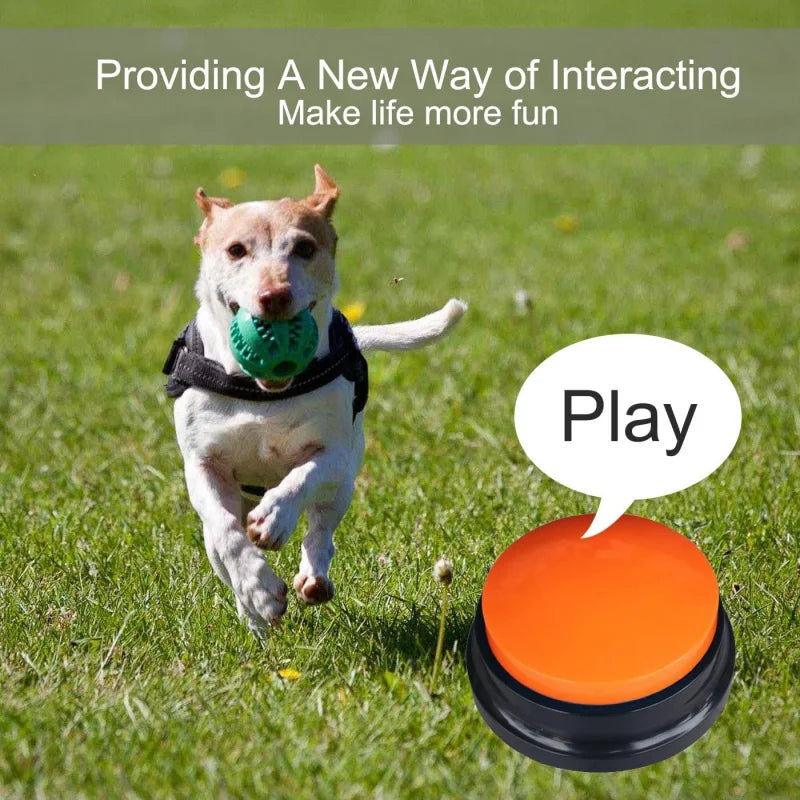 A dog is playing with a green toy while an orange button is shown nearby.
