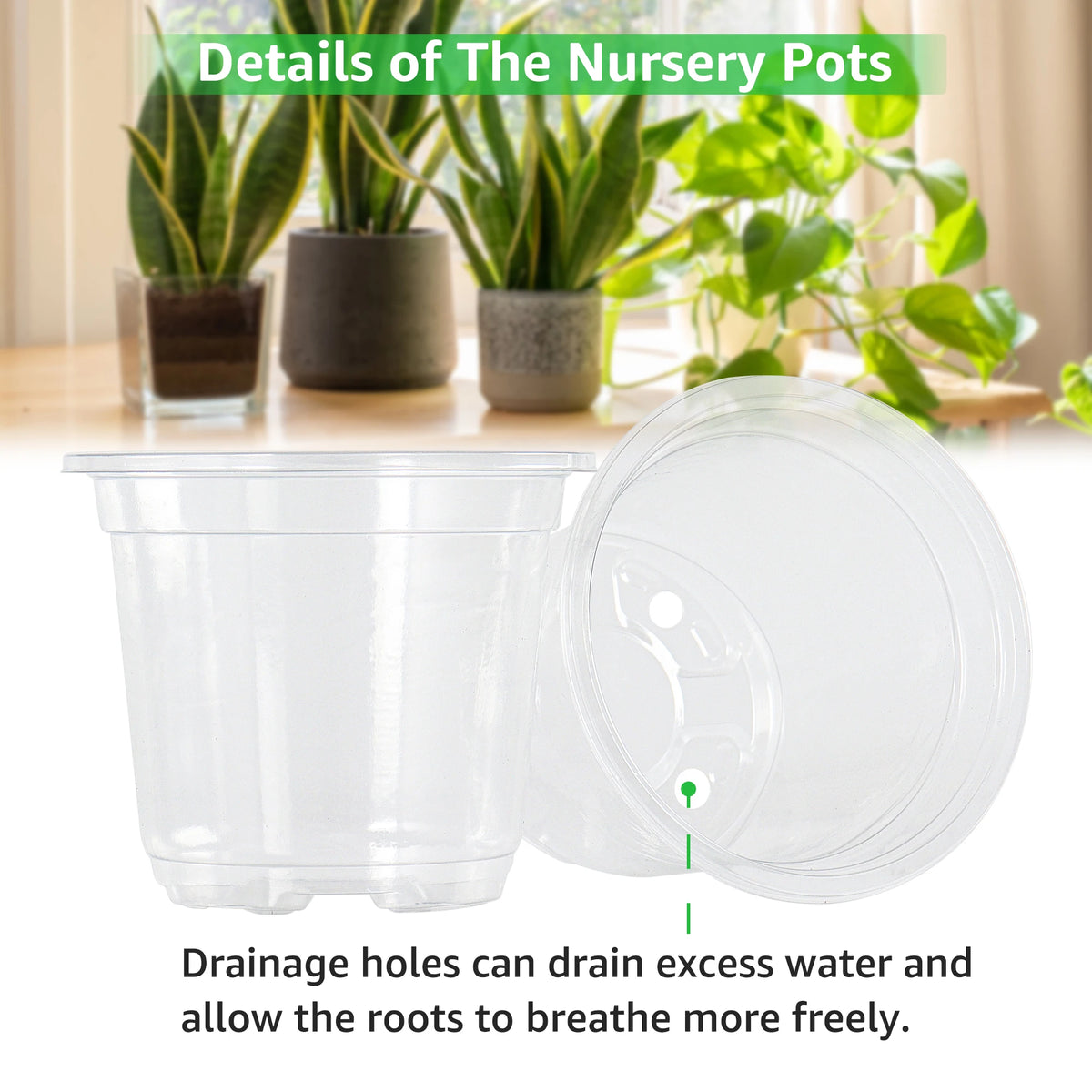 Clear plastic nursery pots with drainage holes shown next to potted plants.