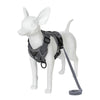 A white dog harness with a dark gray strap and leash is shown against a white background.