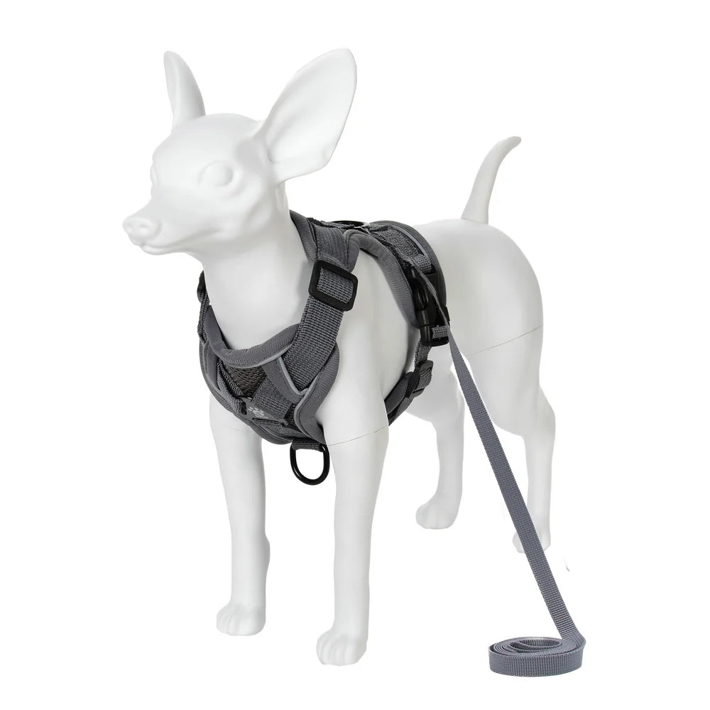 A white dog harness with a dark gray strap and leash is shown against a white background.