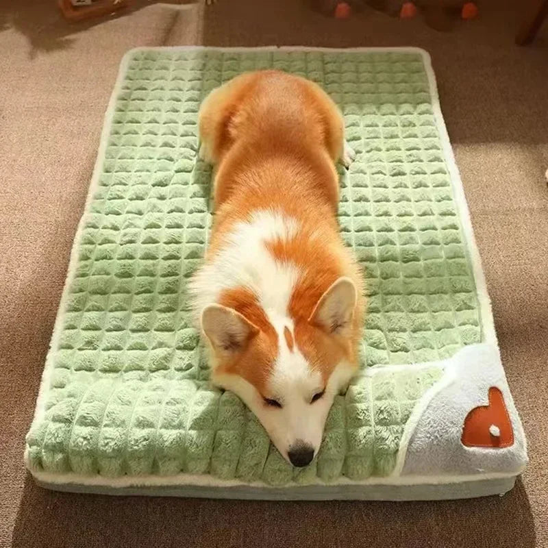 An orange and white dog lying on a green orthopedic memory foam dog bed.
