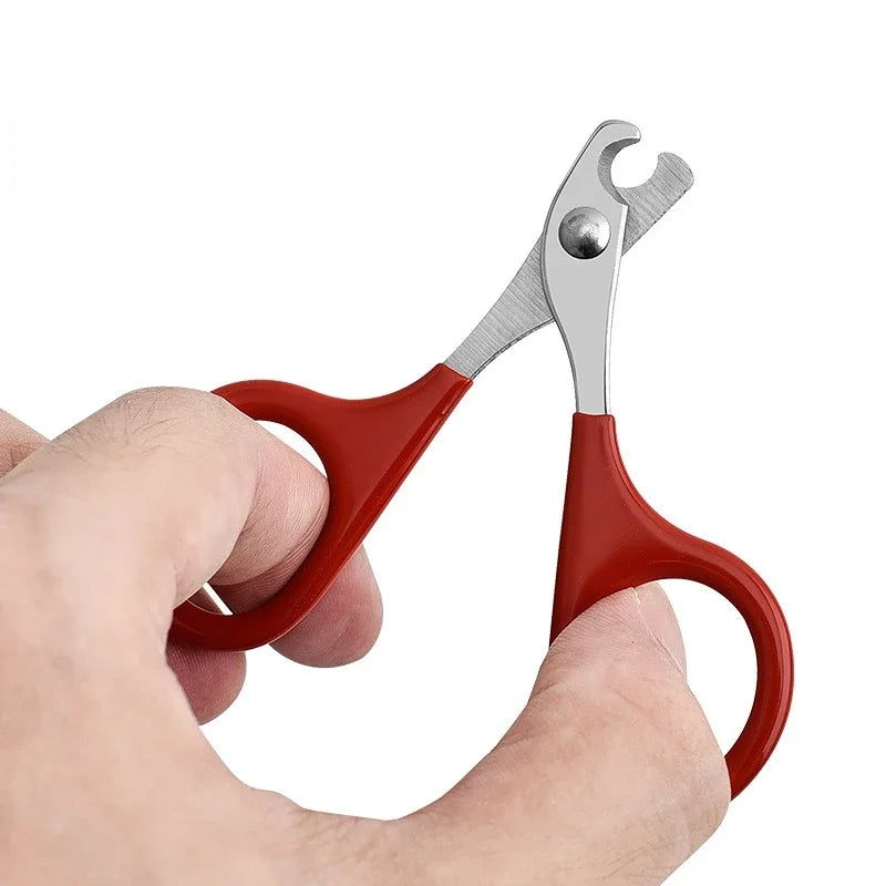 A hand is holding a pair of red professional pet nail clippers and trimmers.