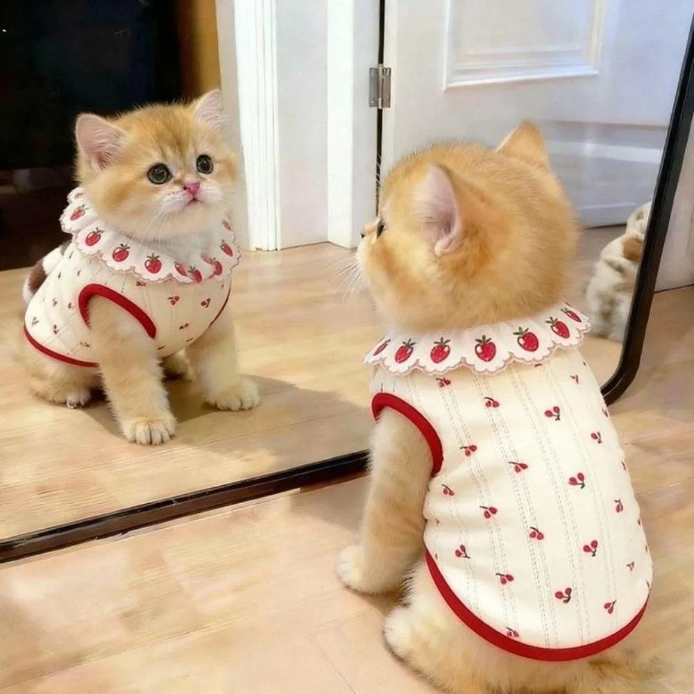 Two orange tabby kittens wearing ruffled strawberry print vests.