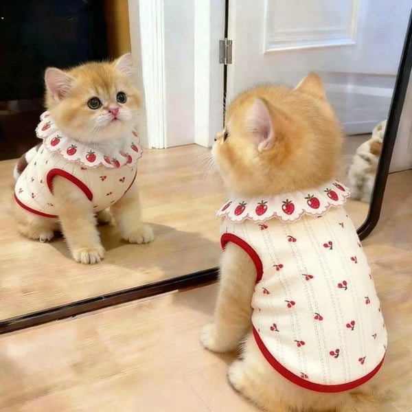 Two orange tabby kittens wearing ruffled strawberry print vests.