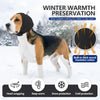 A dog wearing a black head wrapping for winter warmth preservation in the snow.