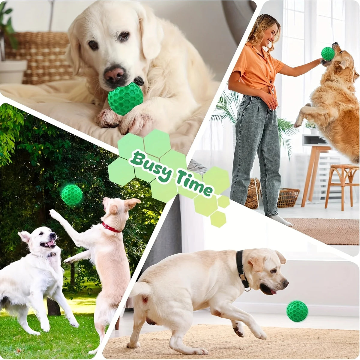 Collage de perros jugando y masticando un juguete para perros verde y chirriante en diferentes entornos interiores y exterior