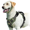 A light-colored dog wearing a green and black padded vest harness.