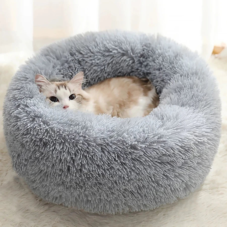Flauschiges graues rundes Bett mit einer schlafenden Katze darin.
