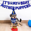 Un perro con sombrero de cumpleaños sentado frente a un letrero que dice 'It's My Bday Mother Puppers'