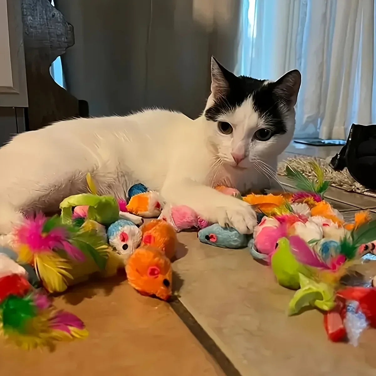 A white and black cat is lying next to a colorful bundle of mixed cat play toys.