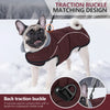 A brown dog wearing a traction buckle matching design winter coat in snowy outdoor setting.