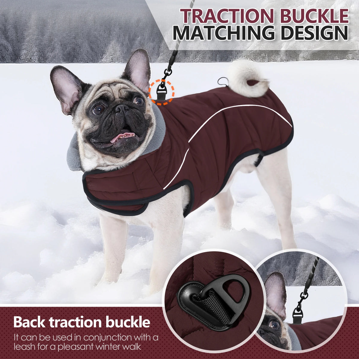 A brown dog wearing a traction buckle matching design winter coat in snowy outdoor setting.