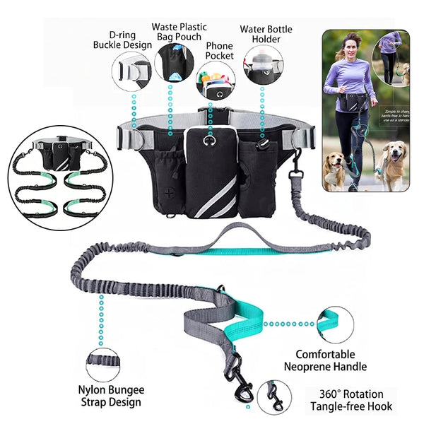 Hands-free reflective dog leash featuring a storage bag, phone pocket, and D-ring buckle design.