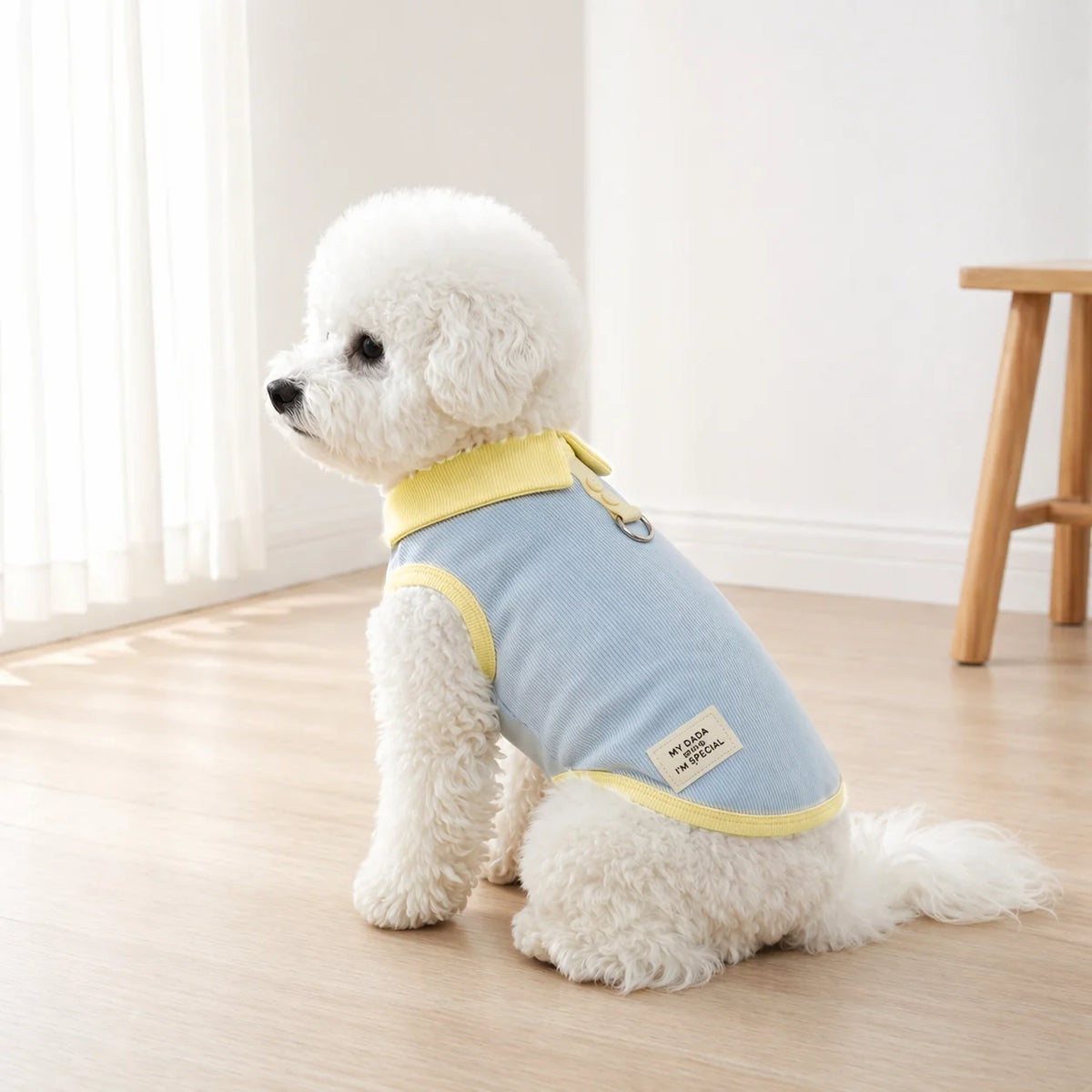 A fluffy white dog wearing a light blue dress with yellow trim sitting on a wooden floor.