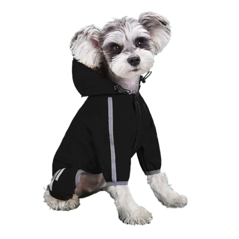A small, light-colored dog wearing a black waterproof raincoat with a hood and reflective features.
