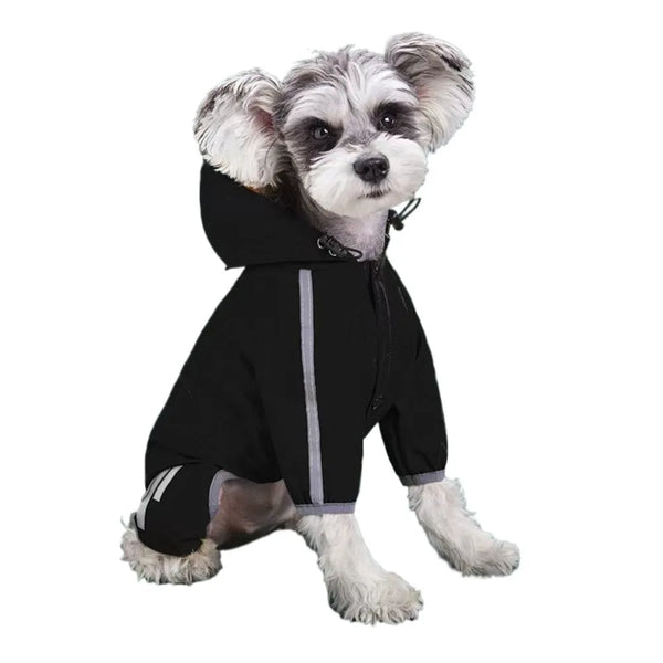 A small, light-colored dog wearing a black waterproof raincoat with a hood and reflective features.