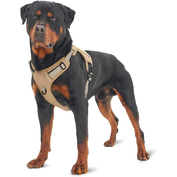A black and tan dog wearing a durable tactical harness, standing in profile.