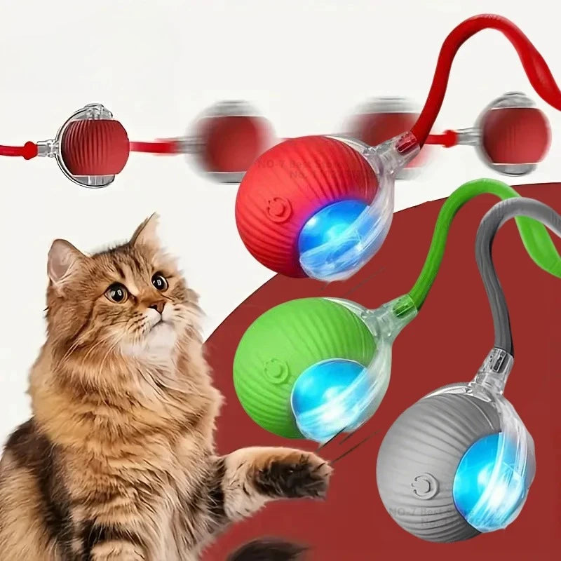A tabby cat interacting with a red, green, and silver interactive motion sensor cat ball toy.