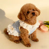 Ein kleiner, flauschiger goldbrauner Hund in einem weißen Spitzenkleid mit blau-kariertem Muster.