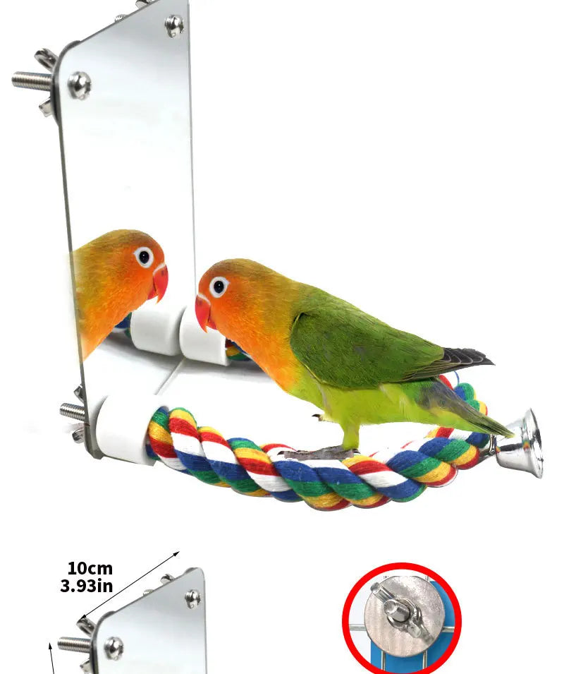 Papagei-Spiegelspielzeug mit reflektierender Oberfläche und farbigem geflochtenem Seil.
