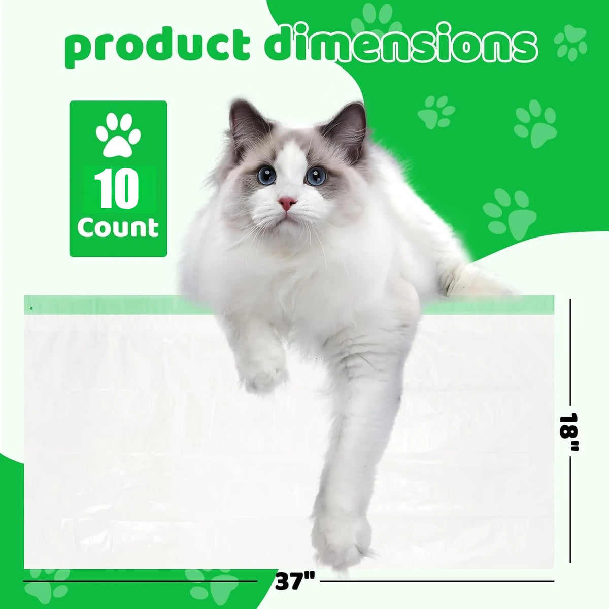 Eine weiße Katze steht auf einer weißen Oberfläche neben Produktmaße mit Angabe 10 Stück.